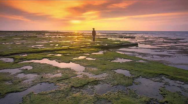 【江陽hjp】陽光、沙灘、海浪、仙人掌